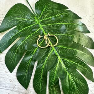 BOGO FREE 1/2” gold hoop earrings